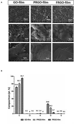 Graphene Oxide and Reduced Derivatives, as Powder or Film Scaffolds, Differentially Promote Dopaminergic Neuron Differentiation and Survival